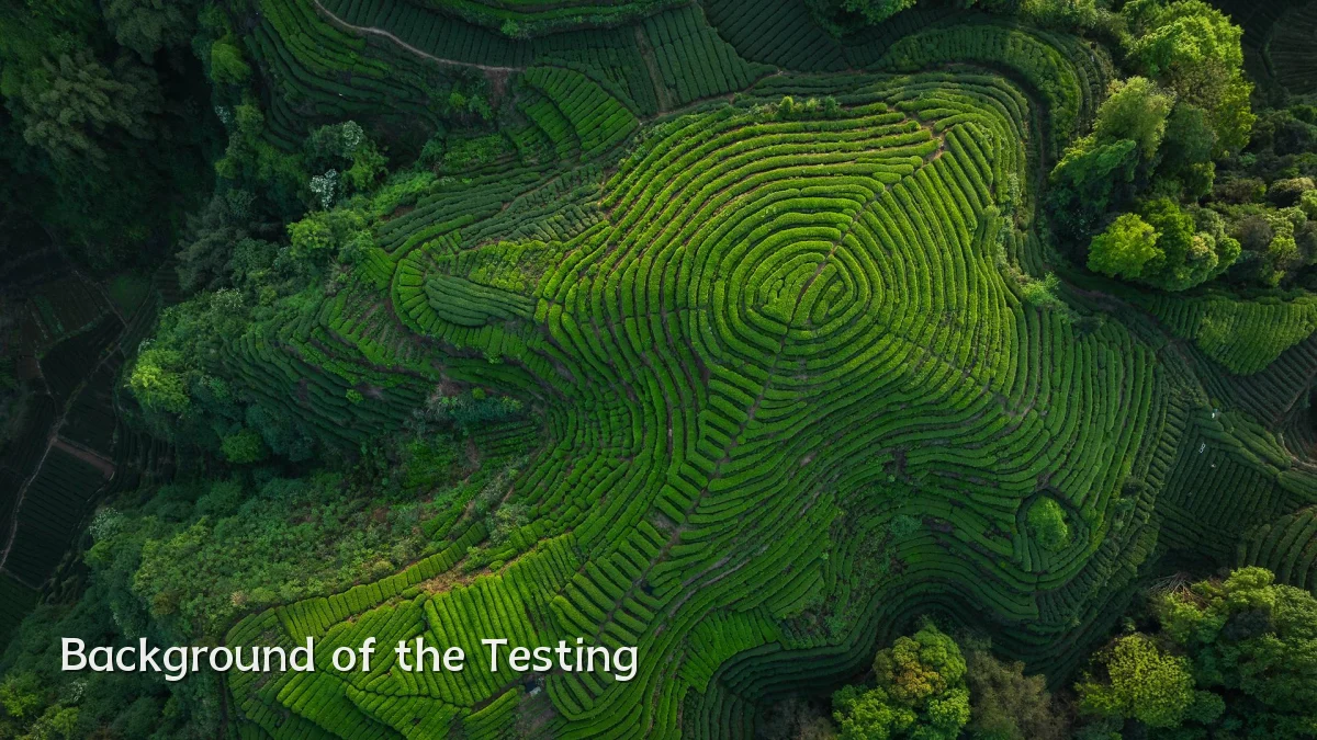 Background of the Testing