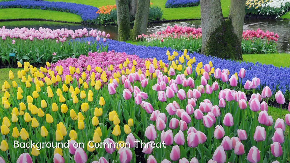 Background on Common Threat