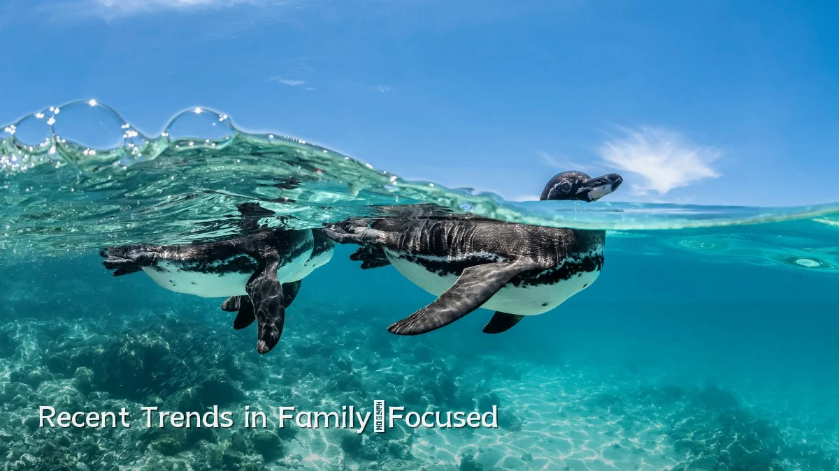 Recent Trends in Family‑Focused