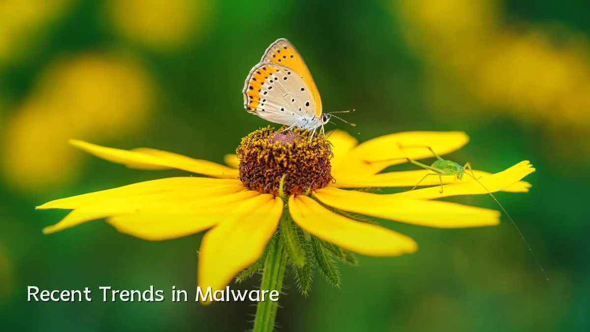Recent Trends in Malware