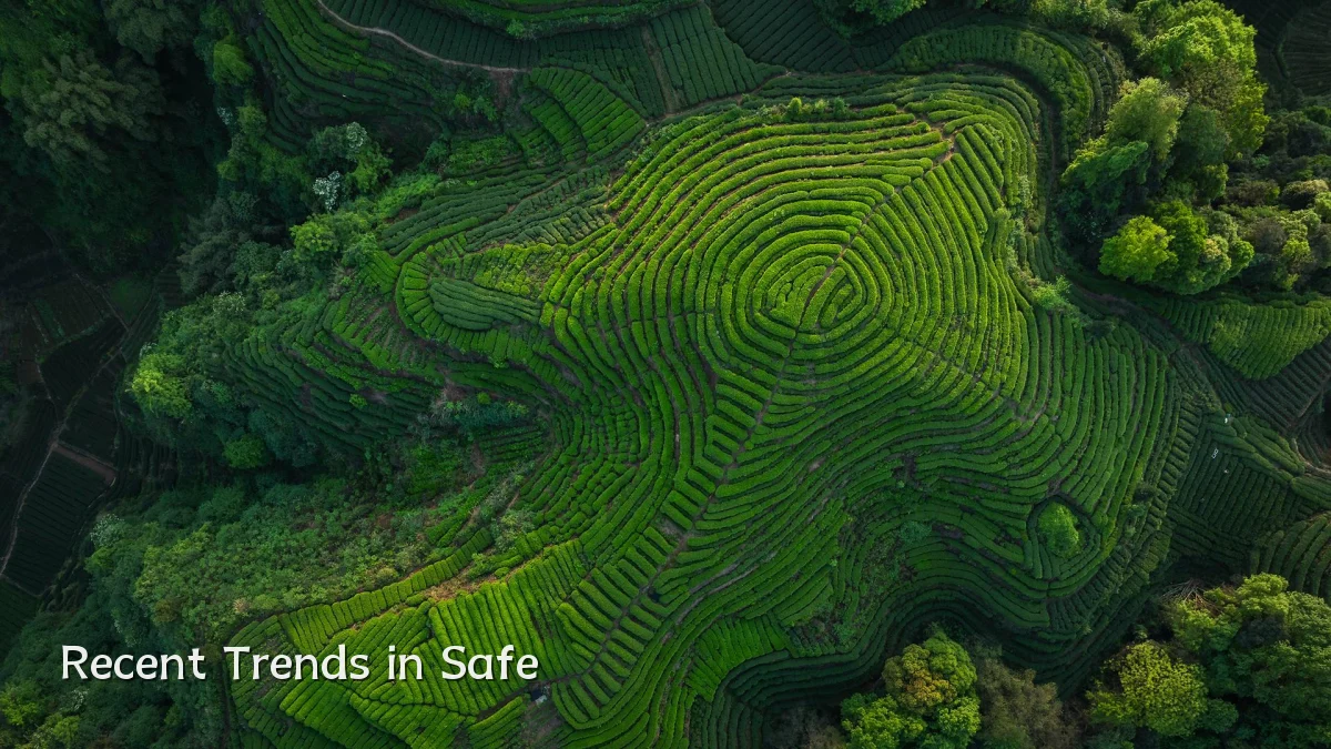 Recent Trends in Safe