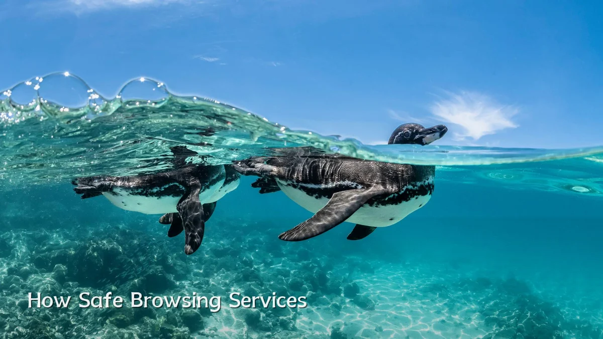 How Safe Browsing Services