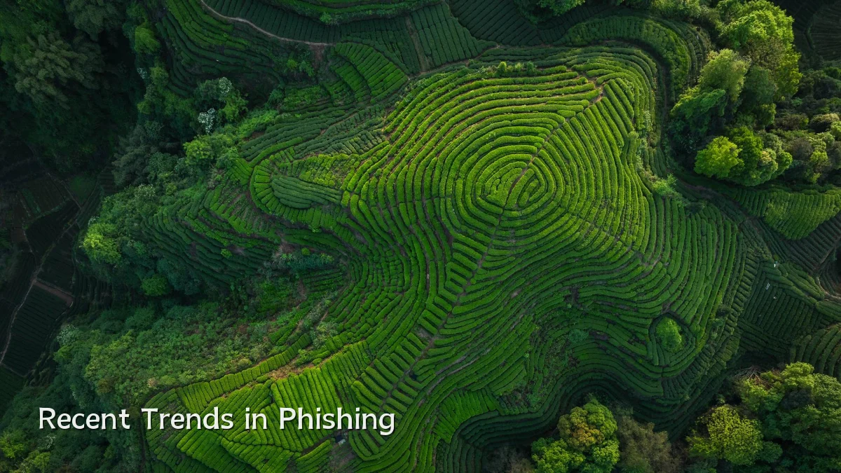 Recent Trends in Phishing
