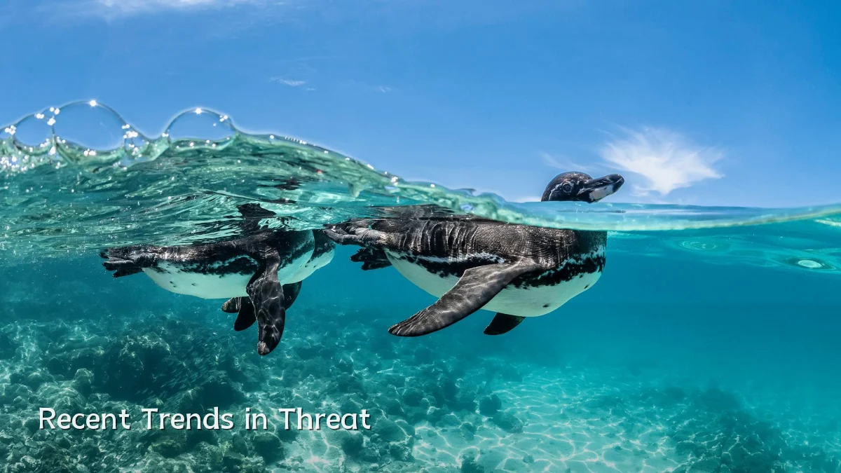 Recent Trends in Threat