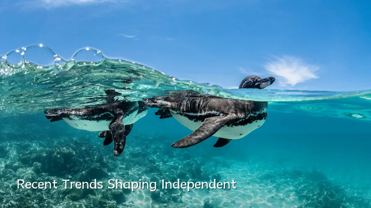 Recent Trends Shaping Independent
